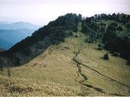 写真:石丸峠を望む