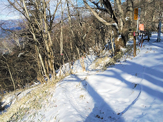 裂石(大菩薩峠登山口バス停)へ向かう登山道
