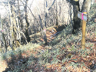 写真:当舘(上日川峠)から大菩薩峠登山口バス停方面への登山道(冬季) 写真:当舘(上日川峠)から大菩薩峠登山口バス停方面への登山道(冬季)