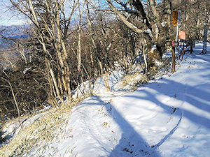 写真：当舘(上日川峠)から大菩薩峠登山口バス停方面の登山道(冬季)